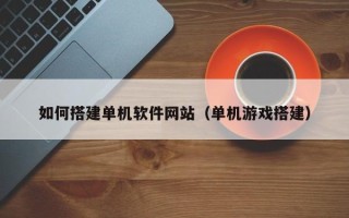 灌云如何搭建单机软件网站（单机游戏搭建）
